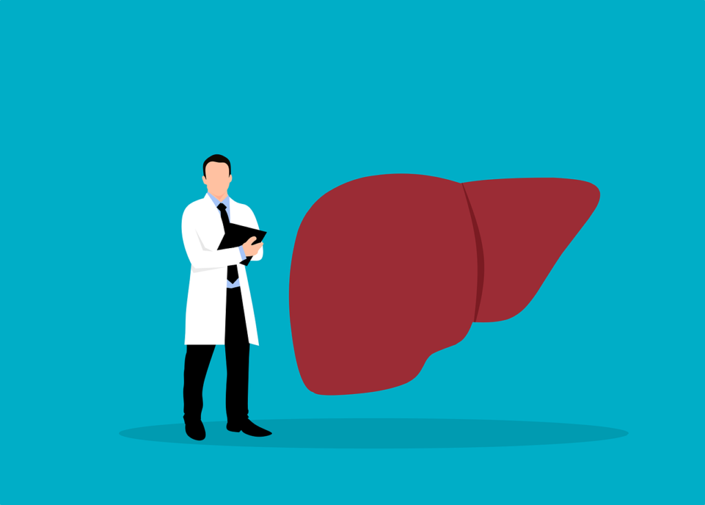 liver inflammation - healthy liver