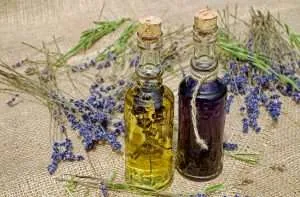 whole health naturpathy 1