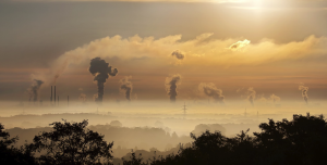 natural health practices - reduce environmental toxins