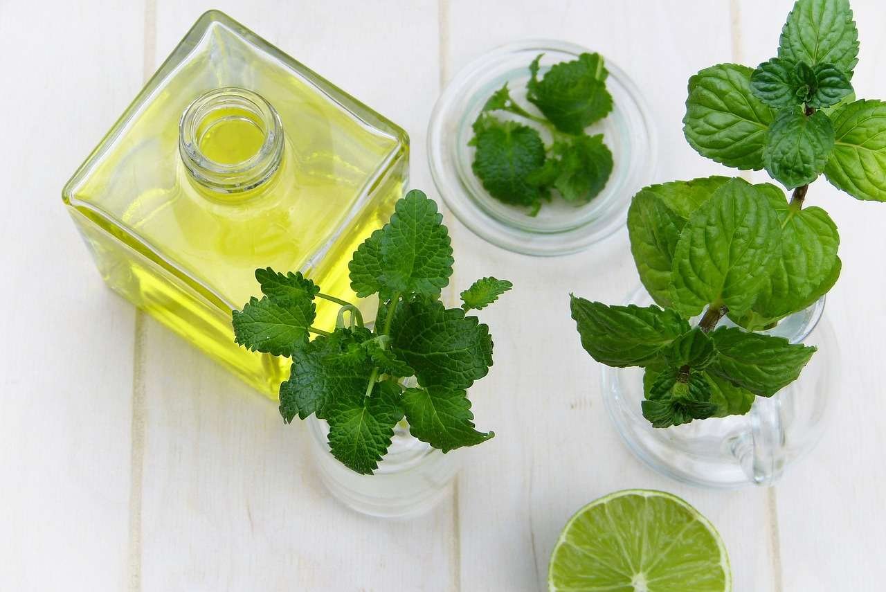 natural health - 2