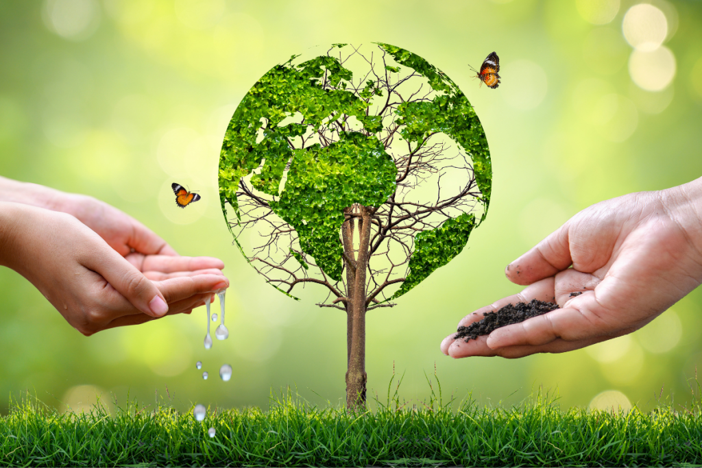 Environmental Factors
