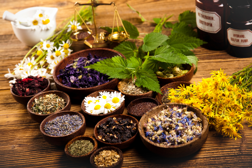 Herbal Medicine