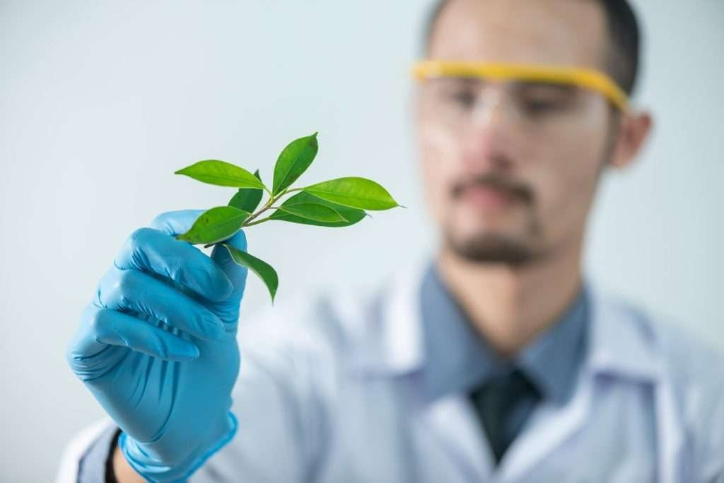 Naturopathy Doctor