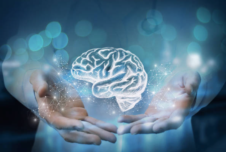 mind 