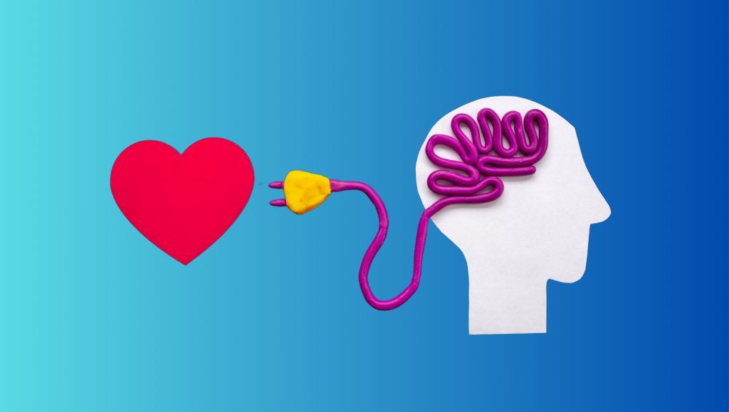 Mind Boy Connection