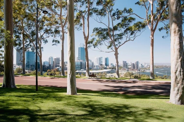 scenery of perth with trees and grass