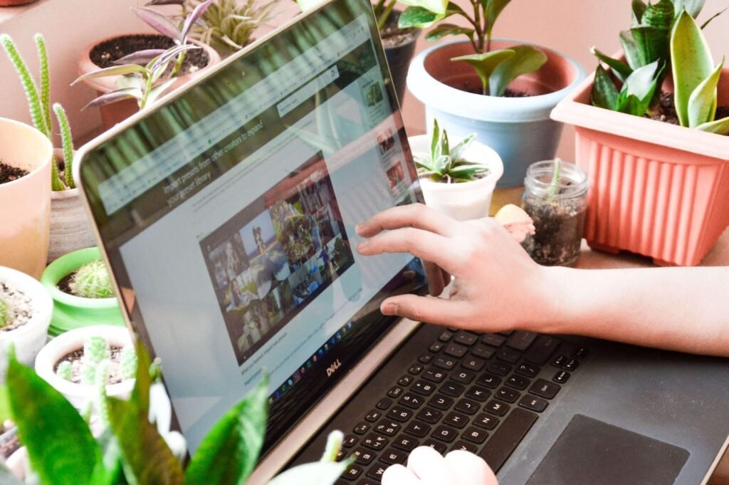Online Bachelor of Herbal Medicine course showing botanical medicine and clinical practice modules.