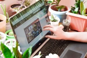 Online Bachelor of Herbal Medicine course showing botanical medicine and clinical practice modules.
